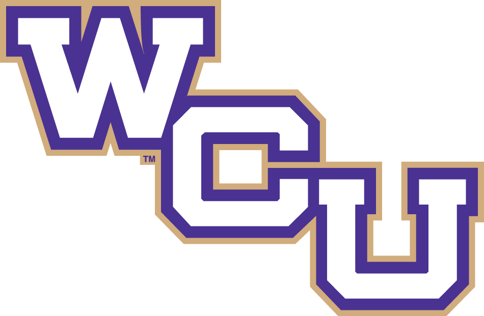 Western Carolina Catamounts 2008-Pres Wordmark Logo diy fabric transfer